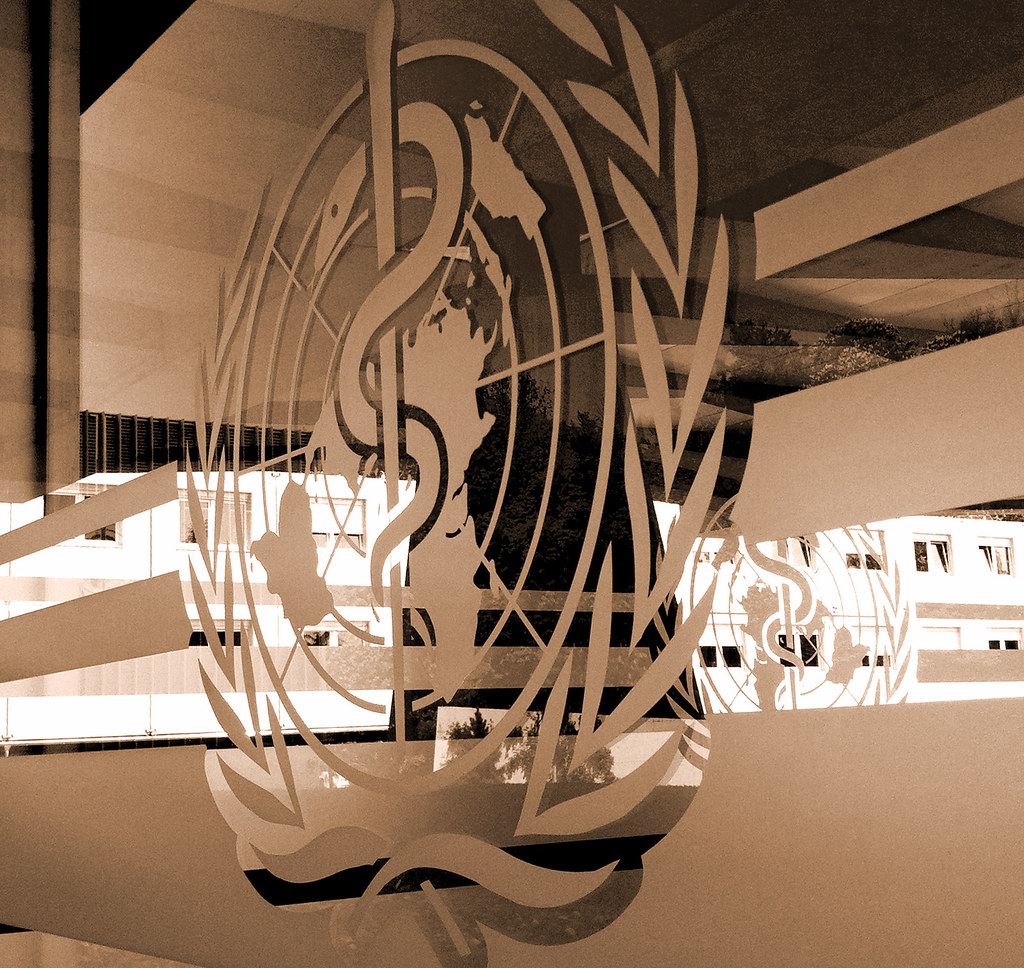 WHO Internship Programme at World Health Organization (WHO)