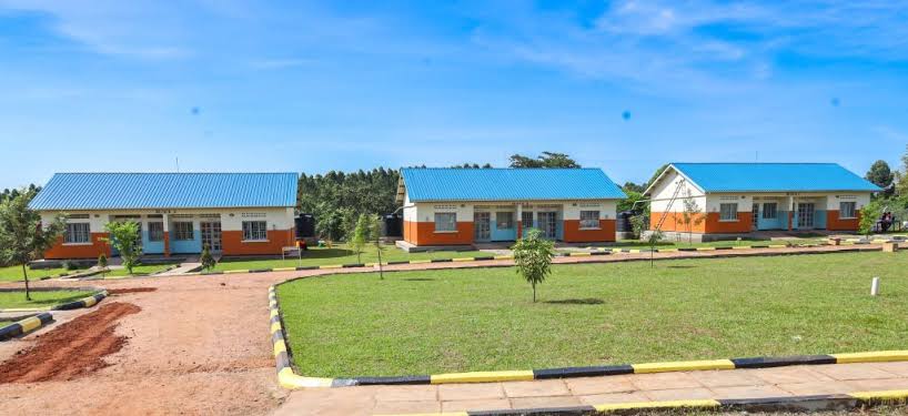 Laboratory Technician at Mushanga Health Centre III