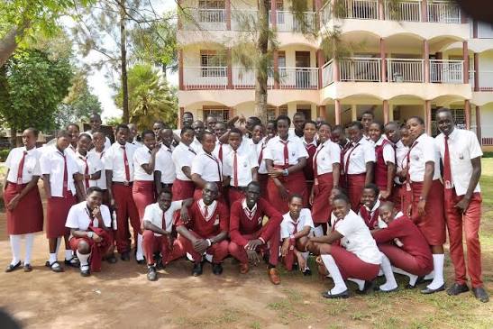 School Nurse at City Secondary School Ssenge