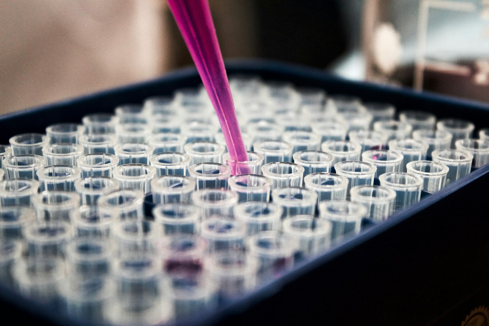 CARTA PhD Fellowships, Cohort 11 at Makerere University College of Health Sciences / CARTA